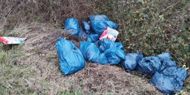 POL-SE: Elmshorn - Unbekannte entsorgen Altreifen, Ölgebinde und weitere Abfälle beim Kleingartenverein - Polizei benötigt Hinweise - Foto: presseportal.de