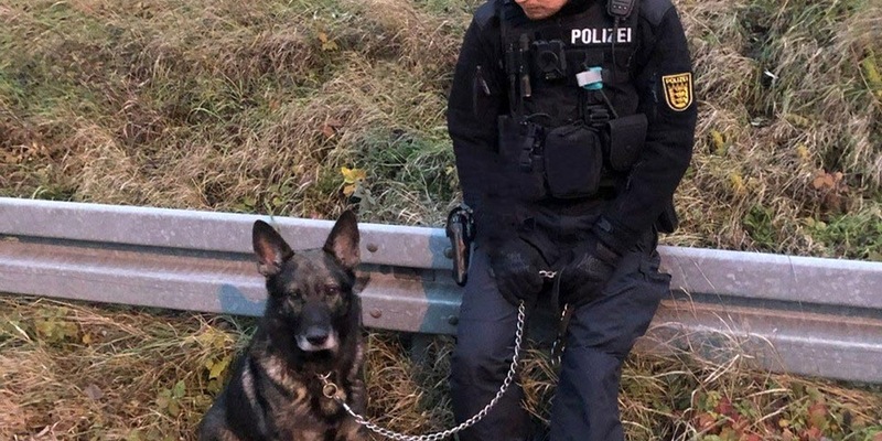 POL-SZ: Pressemitteilung des Polizeikommissariats Wolfenbüttel vom 20.09.2025: - Foto: presseportal.de