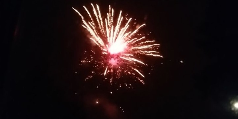 BPOL-FL: Kupfermühle - Feuerwerkskörper nach Grenzübertritt aus Dänemark sichergestellt - Foto: presseportal.de