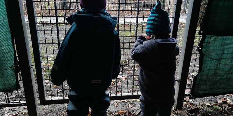Kinder hinter einem Gitter - Foto: ?ber dts Nachrichtenagentur