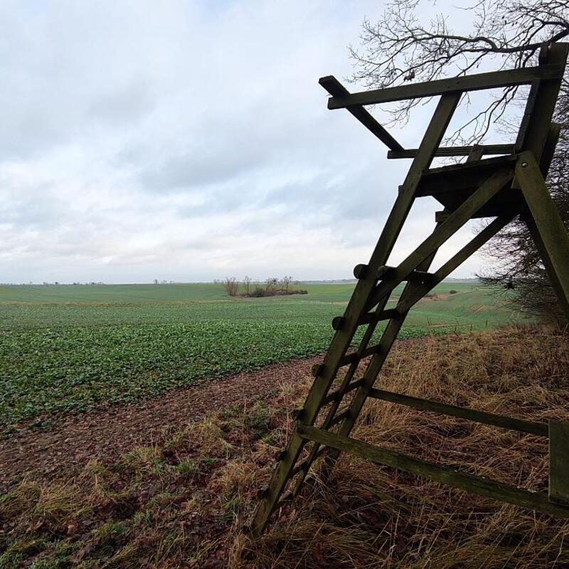 Jägersitz - Foto: ?ber dts Nachrichtenagentur