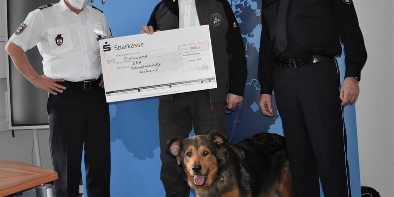 POL-NI: Hoya/Hilgermissen - Verkehrsunfall nach Ausweichmanöver - Foto: presseportal.de