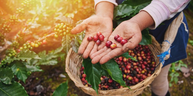 FW-AUR: Aufwendige technische Rettung nach Verkehrsunfall - Foto: presseportal.de