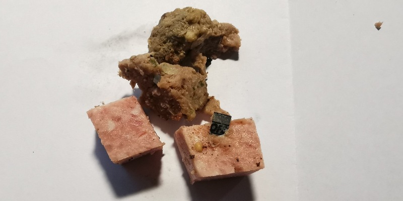 POL-PPKO: Gefährliche Hundeköder im Bereich Koblenz-Metternich - Polizei sucht Zeugen - Foto: presseportal.de