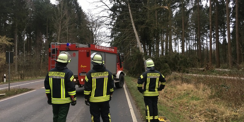 FW-NE: Feuer in Industriehalle im Neusser Hafengebiet | Maschinenbrand greift auf Dach über | Zwei Personen verletzt - Foto: presseportal.de