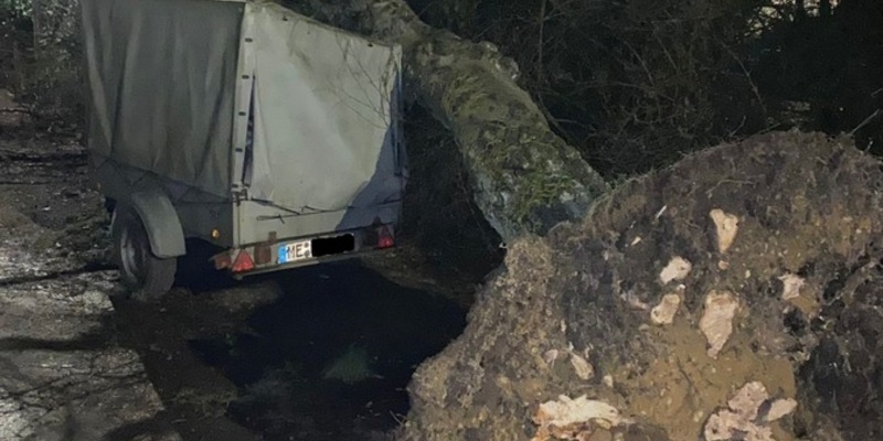 FW-EN: Sturmtief Ciarán zeigt sich auch in Gevelsberg - Foto: presseportal.de