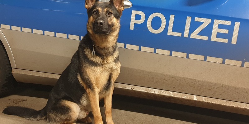 POL-HH: 231122-4. Zwei Festnahmen nach Einbruch in Hamburg-Neugraben-Fischbek - Foto: presseportal.de