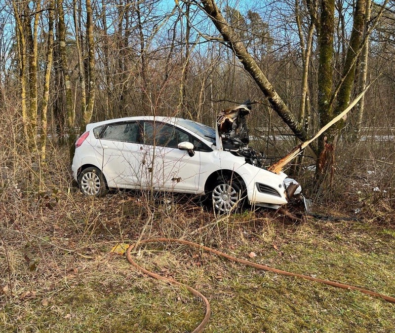 HZA-DA: Über 700 Kilogramm Krebstiere ohne Nachweise - Zoll untersagt Weitertransport - Foto: presseportal.de