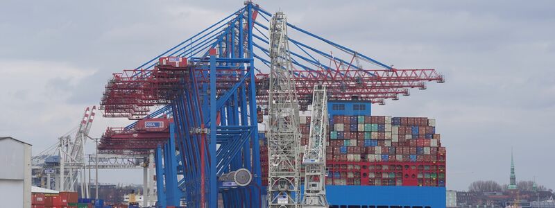 Hamburgs Bürgermeister Tschentscher erhofft sich vom MSC-Einstieg beim Hamburger Hafen Schubkraft für die gesamte maritime Wirtschaft. - Foto: Marcus Brandt/dpa