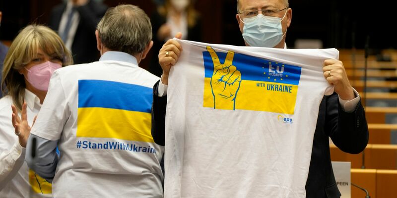 Die EU will künftig härter gegen Umweltkriminalität vorgehen. - Foto: Virginia Mayo/AP/dpa