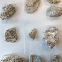 Girls'Day und Boys'Day 2026: Dein Tag, dein Weg! / Impulse für die Fachkräfte von morgen - Foto: presseportal.de