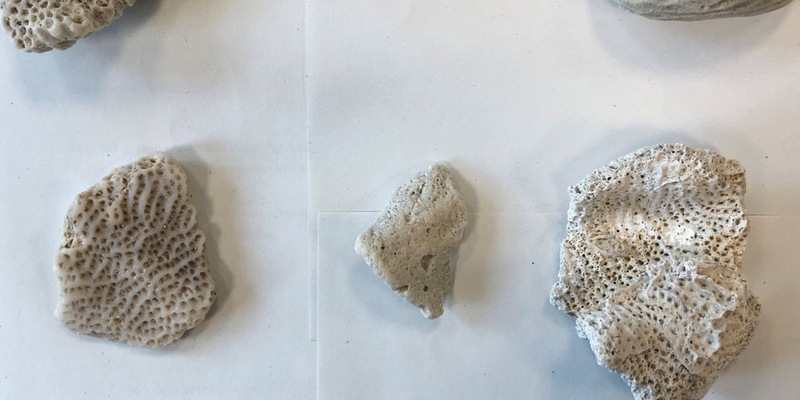 POL-OLD: Oldenburg/Lohne/Lembruch +++ Delegiertenempfang zur 4. Europäischen Polizeimeisterschaft im Frauenfußball in der Polizeidirektion Oldenburg +++ - Foto: presseportal.de