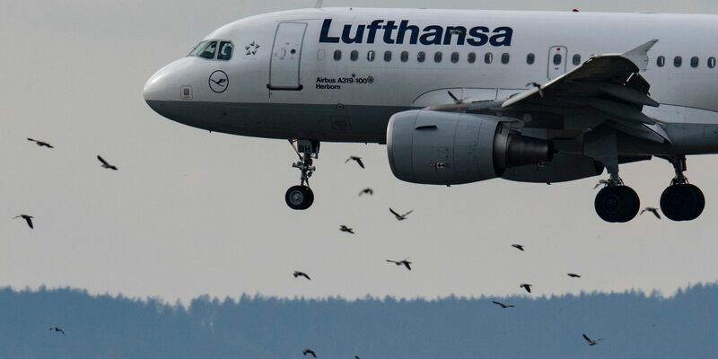 Mit Sonderflügen der Lufthansa sollen Deutsche aus Israel ausgeflogen werden. - Foto: Boris Roessler/dpa