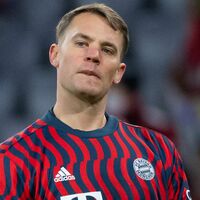 Soll Manuel Neuer das deutsche WM-Tor hüten oder nicht? Die Fans sind unterschiedlicher Meinung. - Foto: Sven Hoppe/dpa