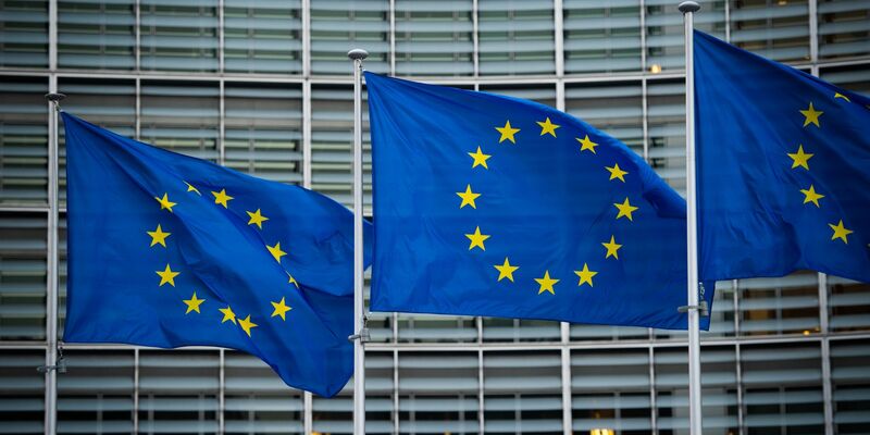 Die EU will das Asylsystem grundlegend reformieren. - Foto: Arne Immanuel Bänsch/dpa