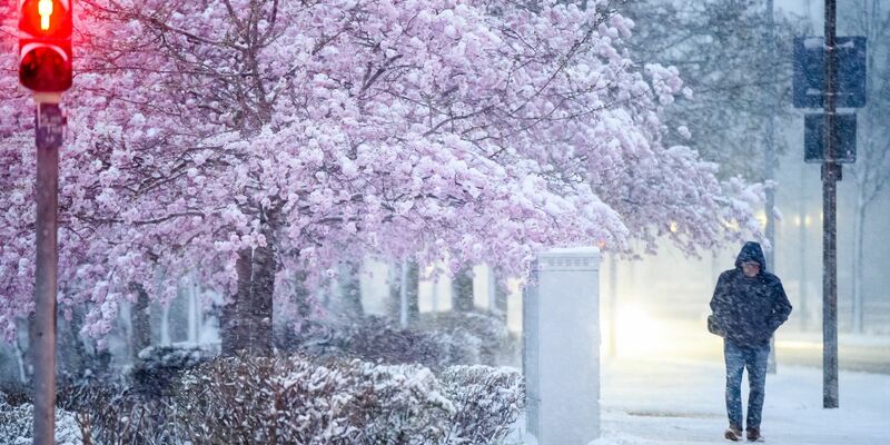 Im Norden und Osten wird am Freitag noch Schnee erwartet. - Foto: Julian Stratenschulte/dpa