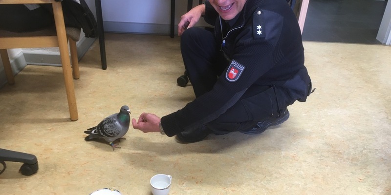 POL-HA: Flucht vor der Polizei - Zu schnell geflogen! - Foto: presseportal.de