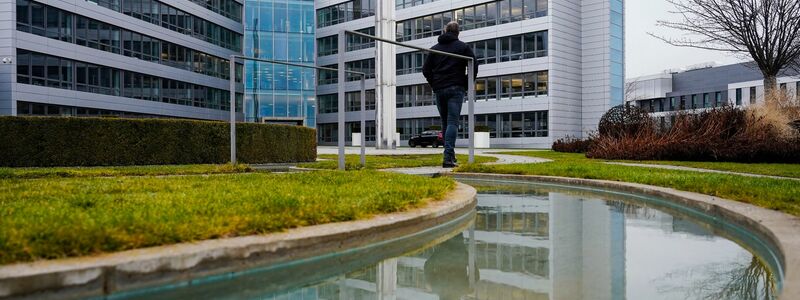 Die Konzernzentrale von SAP in Walldorf. Das Softwareunternehmen hat im vergangenen Jahr seinen Umsatz um 6 Prozent auf 31,2 Milliarden Euro steigern können. - Foto: Uwe Anspach/dpa