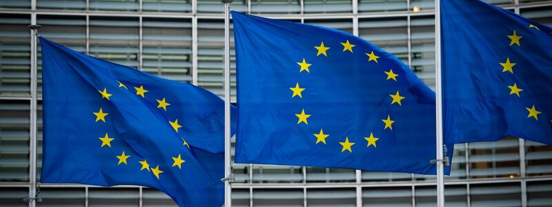 Flaggen der Europäischen Union in Brüssel. - Foto: Arne Immanuel Bänsch/dpa