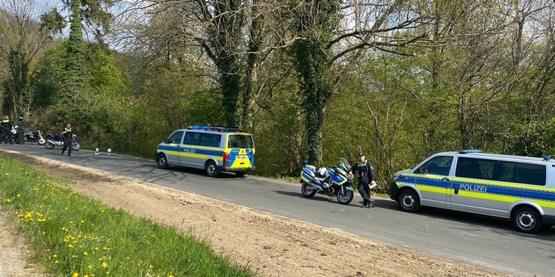 POL-UN: Werne - Gänsefamilie durch Polizei von Straße gerettet - Foto: presseportal.de