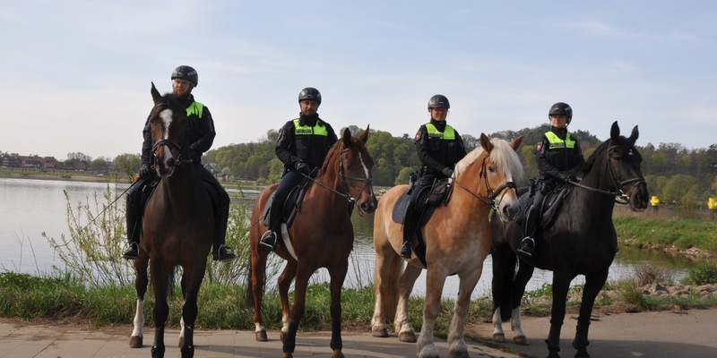 POL-AC: Pferde ausgebüxt - Passanten und Polizei arbeiten Hand in Hand - Foto: presseportal.de