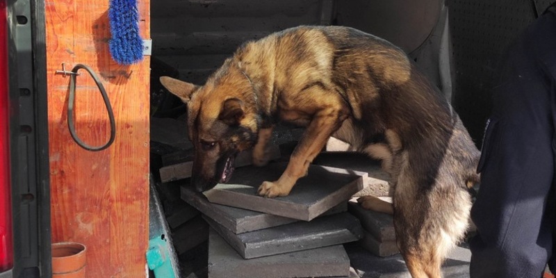 Fokus auf FRITZ! - Produkte und Unternehmen unter einer starken Marke vereint - Foto: presseportal.de