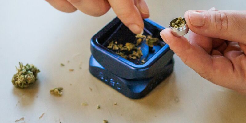 Kann die Cannabis-Legalisierung in Deutschland kommen? Daran gibt es weiter Zweifel. - Foto: Philipp von Ditfurth/dpa