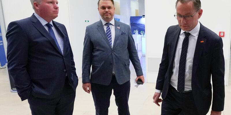 Die AfD liegt derzeit bundesweit im Umfragehoch. In Mecklenburg-Vorpommern und in Thüringen erzielte die Partei neue Höchstwerte. - Foto: Marcus Brandt/dpa