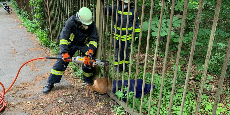 POL-GS: Verkehrsunfallflucht im Kreisverkehr Braunlage Süd - Foto: presseportal.de