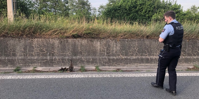 POL-MK: Enten gerettet - Foto: presseportal.de