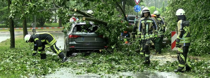 Feuerwehrleute beseitigen in Ahaus (NRW) einen durch Gewitterböen umgestürzten Baum von einem Auto. - Foto: Bernd März/B&S/dpa