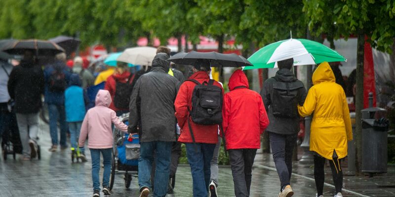 Ab der Wochenmitte kommt der Frühling zurück in weite Teile Deutschlands. (Archivbild) - Foto: Stefan Sauer/dpa