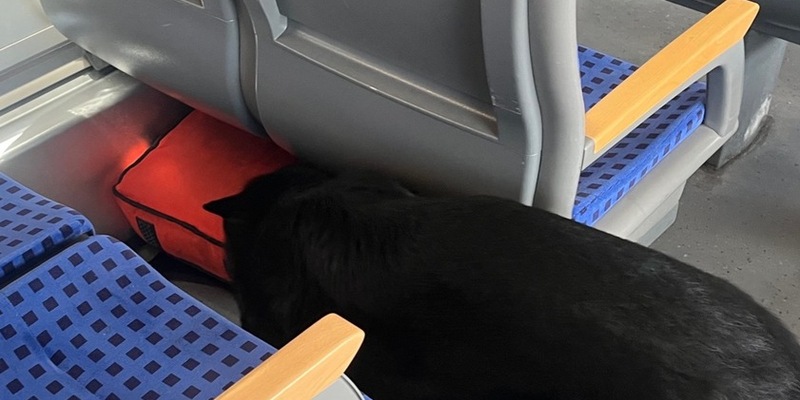 FW-GLA: Brand in einer Schule in Gladbeck-Mitte - Foto: presseportal.de