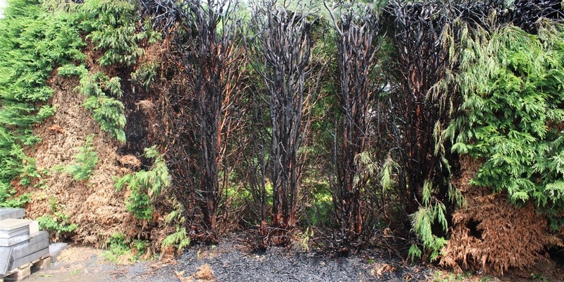 FW-EN: Leichtsinniges Verhalten verursacht Einsätze - Foto: presseportal.de