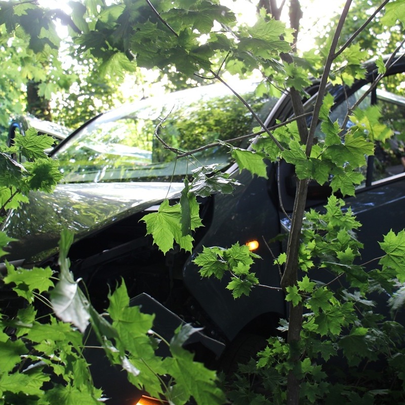POL-COE: Coesfeld, Stockum/ Auto kollidiert mit Baum - Foto: presseportal.de