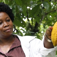 Sönke Wortmanns DIE ÄLTERN begeistert das Premierenpublikum - Foto: presseportal.de