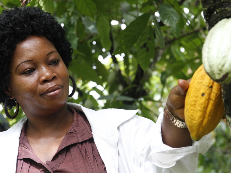 Sönke Wortmanns DIE ÄLTERN begeistert das Premierenpublikum - Foto: presseportal.de