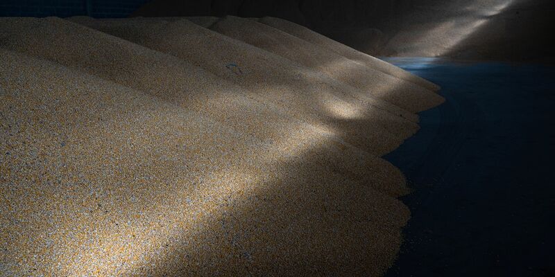 Zwei ukrainische Soldaten reinigen das Rohr einer getarnten selbstfahrenden Panzerhaubitze. - Foto: ---/Ukrinform/dpa