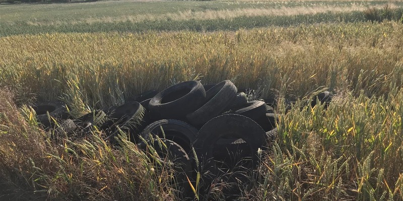 FW-AUR: Feuer droht Gebäude zu zerstören - Foto: presseportal.de