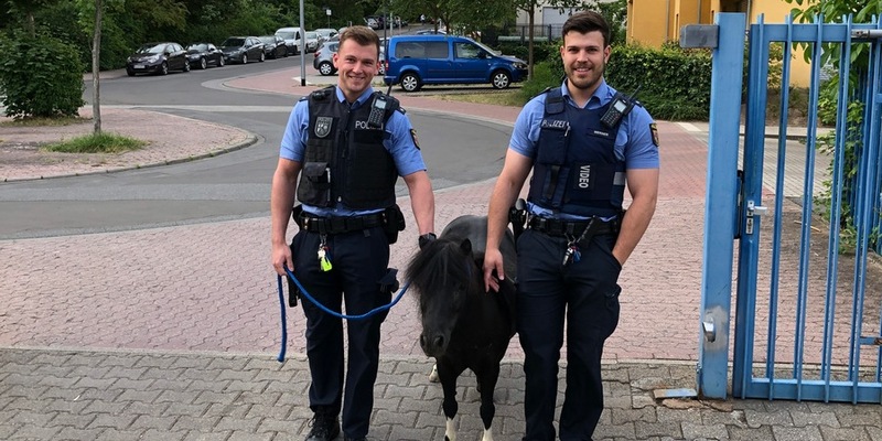 POL-AC: Da steht ein Pferd im Kofferraum! - Ladung richtig sichern - Foto: presseportal.de