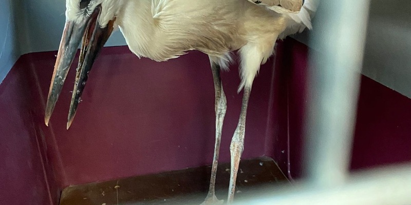 POL-OG: Mittelbaden - Mit guten Nachrichten ins Wochenende - Foto: presseportal.de