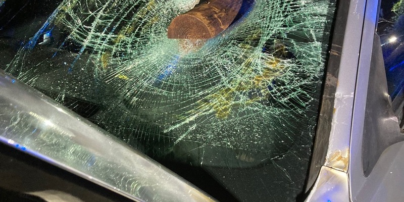 POL-K: 250401-2-K Wohnungen von mutmaßlichem Dealer durchsucht - umfangreiches Beweismaterial und große Mengen an Drogen sichergestellt - Foto: presseportal.de