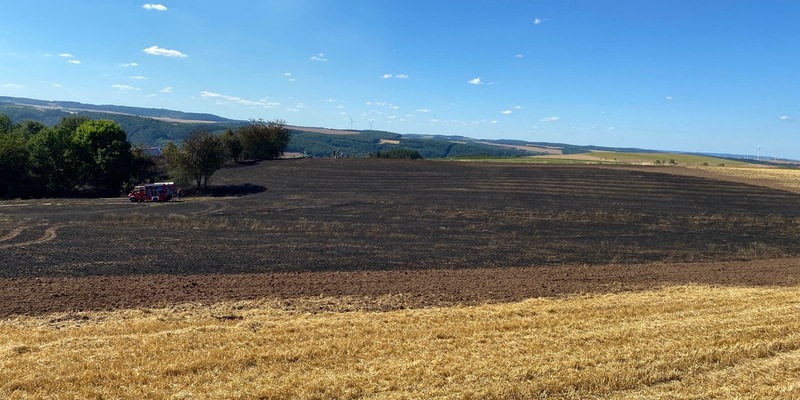 POL-PDNW: Eine Schorle zu viel... - Foto: presseportal.de