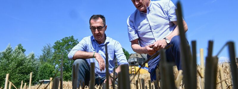 Der Politiker hat nach der Trennung von seiner Frau eine neue Beziehung. (Foto Archiv) - Foto: Bernd Weißbrod/dpa