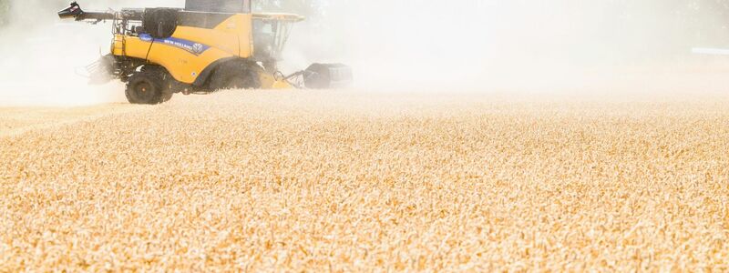 Die Ernährung von Menschen wird schwieriger, wenn es trockener wird. (Archivbild) - Foto: Julian Stratenschulte/dpa