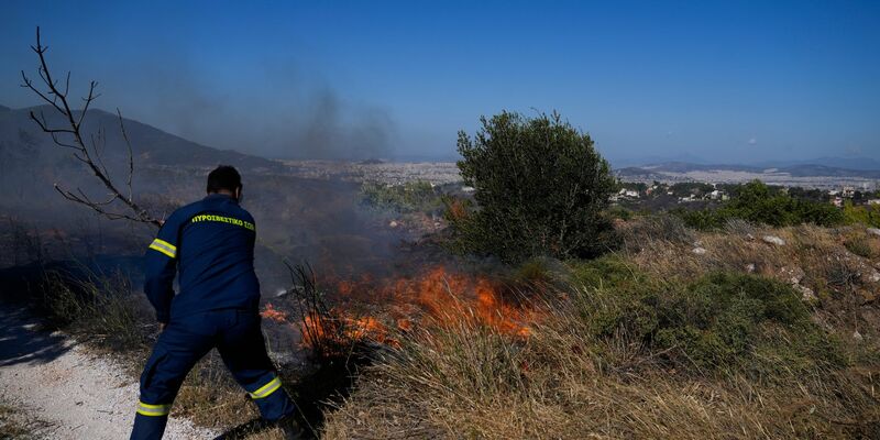 Verbrannte Erde - das Ausmaß der Schäden ist noch nicht abzusehen. - Foto: Thanassis Stavrakis/AP/dpa