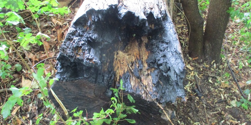 FW-GLA: Wohnungsbrand mit einer verstorbenen Person - Foto: presseportal.de