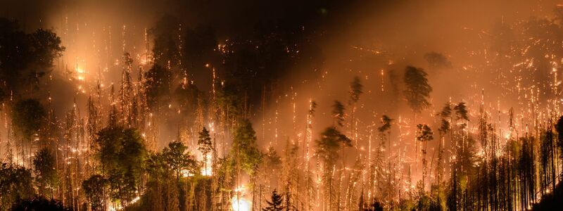 Waldbrand im tschechischen Nationalpark Böhmische Schweiz in Hrensko nahe der Grenze zu Sachsen. - Foto: Robert Michael/dpa