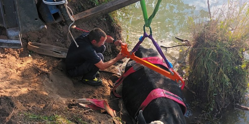 FW-RE: Erstmeldung: Brand in ehem. Table-Dance-Bar - keine Verletzten - Feuerwehr im Großeinsatz - Foto: presseportal.de
