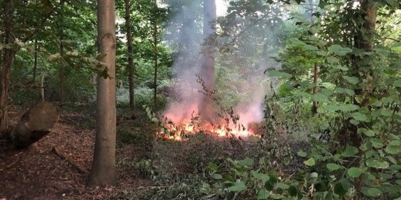 Sparen, bis es quietscht, wird zu sparen, bis es klemmt / Die Berliner Feuerwehr unter Druck - Foto: presseportal.de
